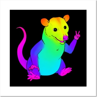 Rainbow Possum Posters and Art